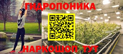 мяу мяу мука Аргун